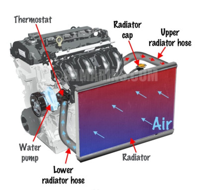 The Cooling Systems Working Process